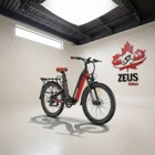 Freesky NOVA B-360 Dual-Battery Step-Thru Electric Bike