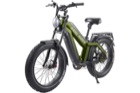 Ariel Rider Kepler - Dual Battery