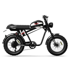 Qiolor Tiger Plus