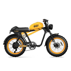 Qiolor Tiger RE