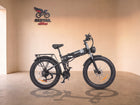 RidStar DC26