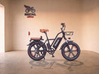 RidStar FM001 2-Seater