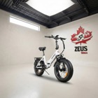 SameBike LOTDM200-II