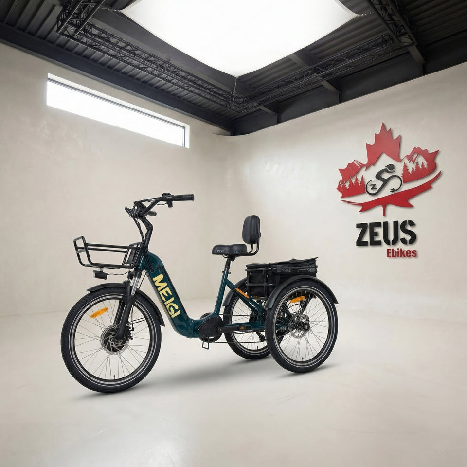 Dwmeigi Meigi Silverado Urban Electric Tricycle