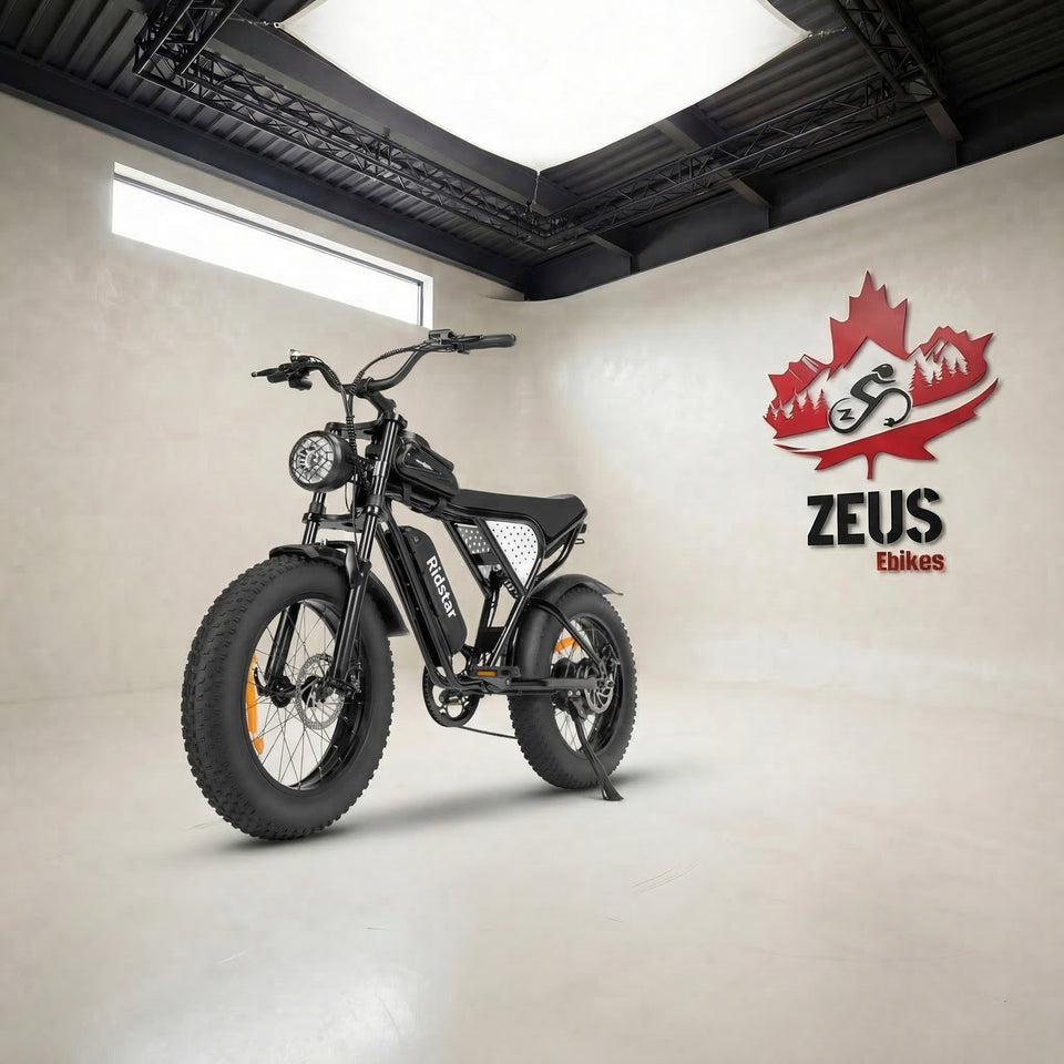 RidStar Q20 Lite 1000W Retro Ebike (Pre-Order, Ships End of July)