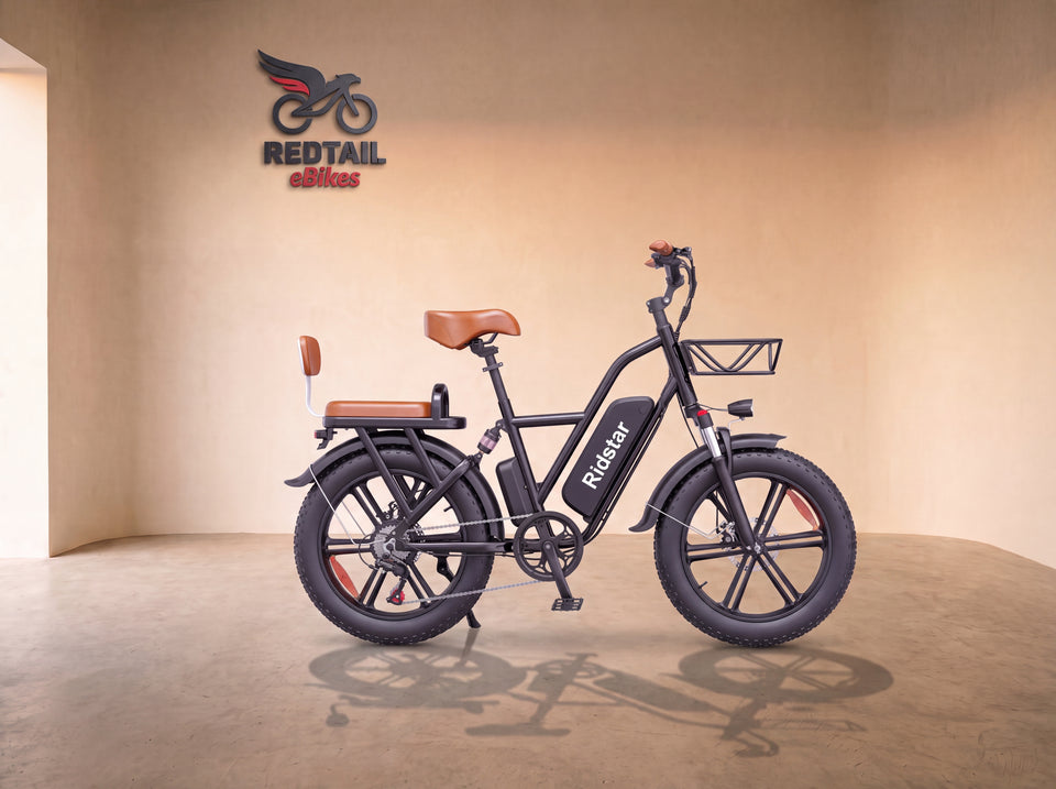 RidStar FM001 2-Seater