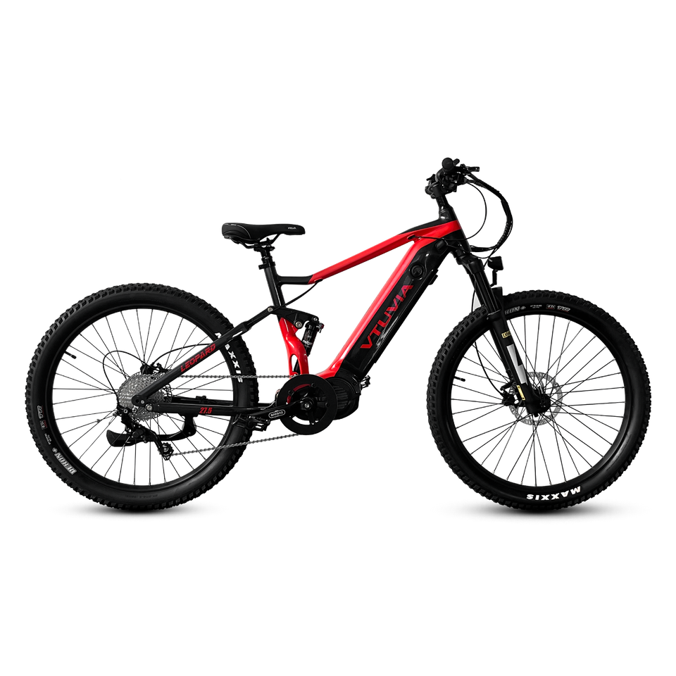 Vtuvia FMB Ebike